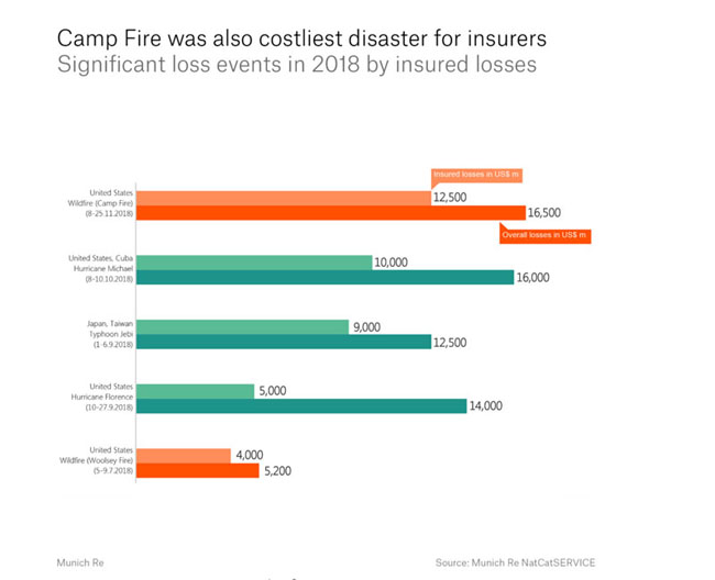 Camp Fire Losses