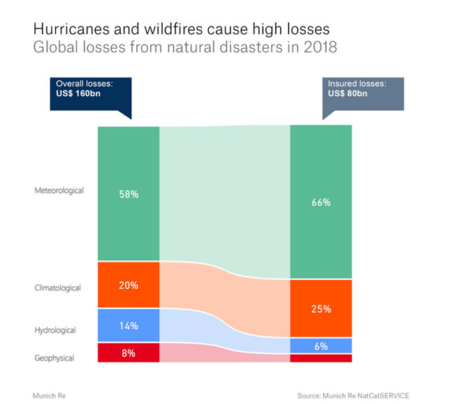 Hurricanes and Wildfires losses