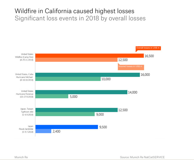 Wildfire in CA losses